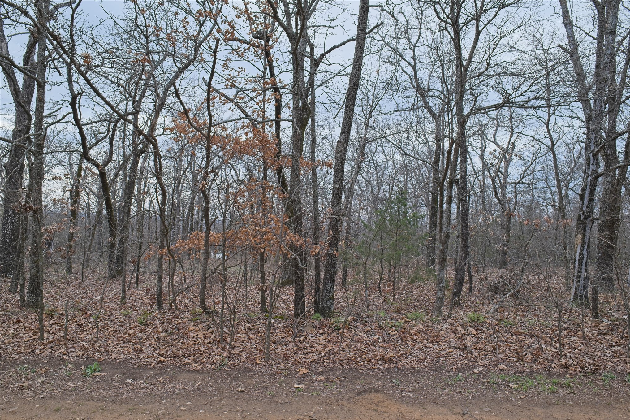 S 4547 Drive Vian OK 74962