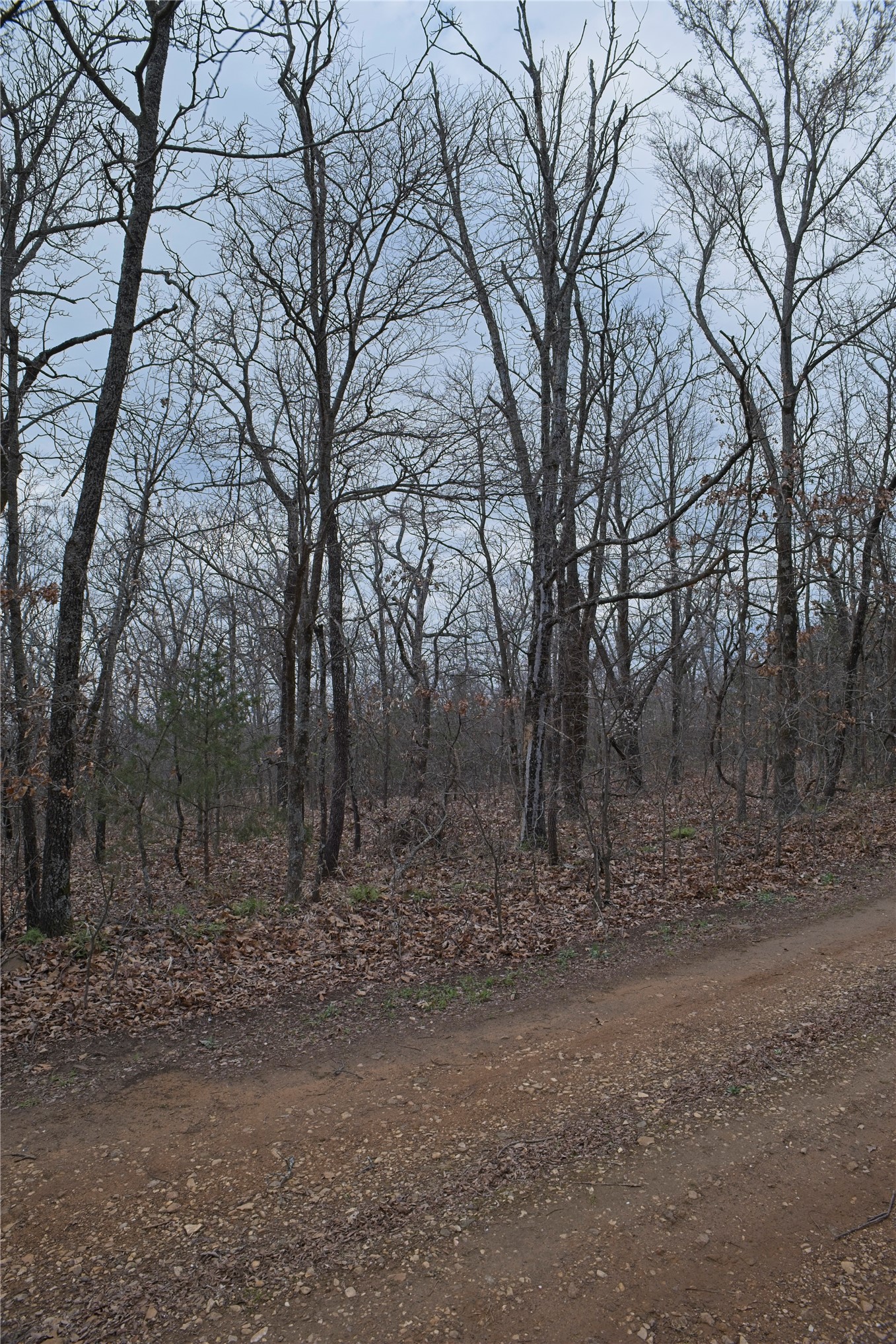 S 4547 Drive Vian OK 74962