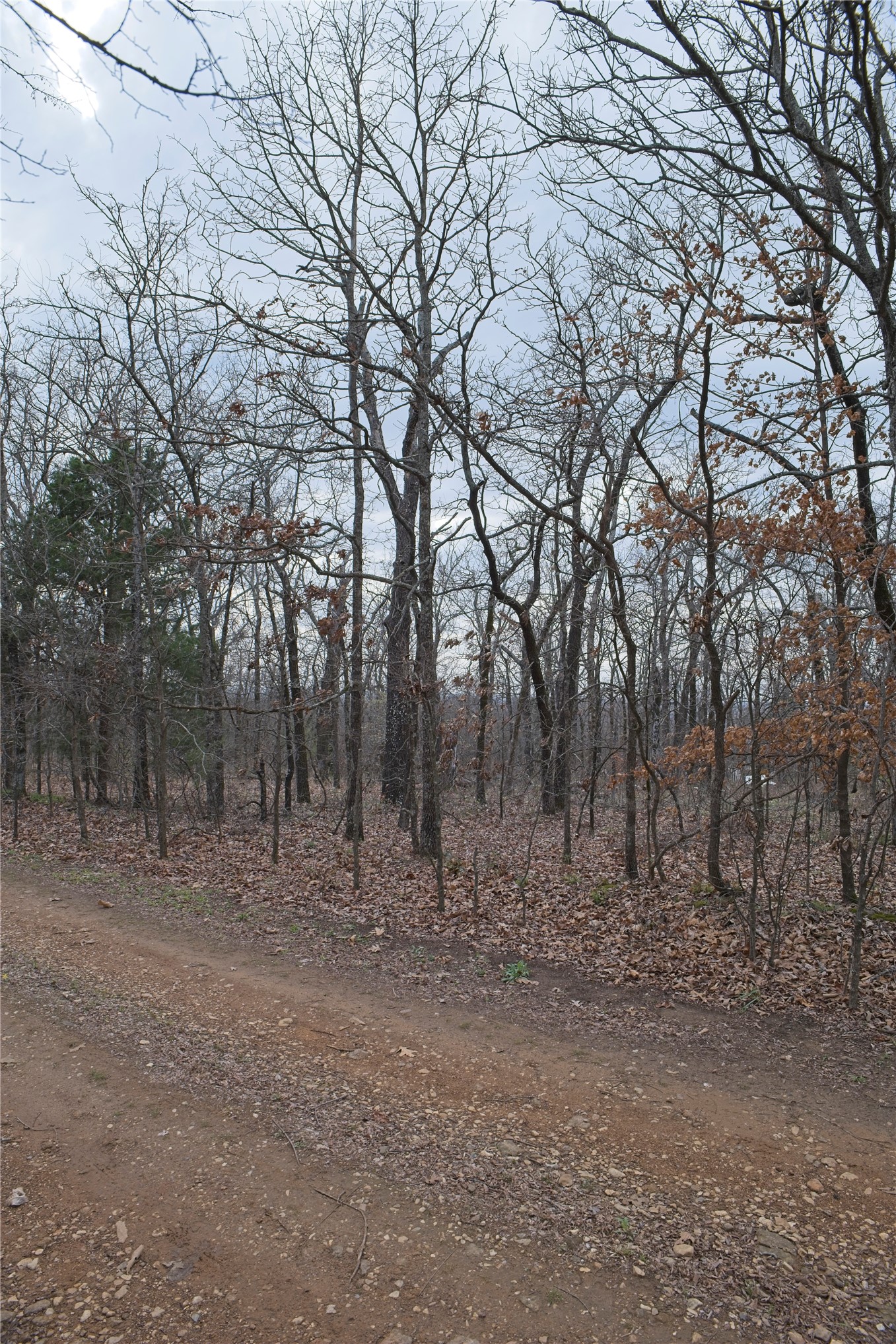 S 4547 Drive Vian OK 74962