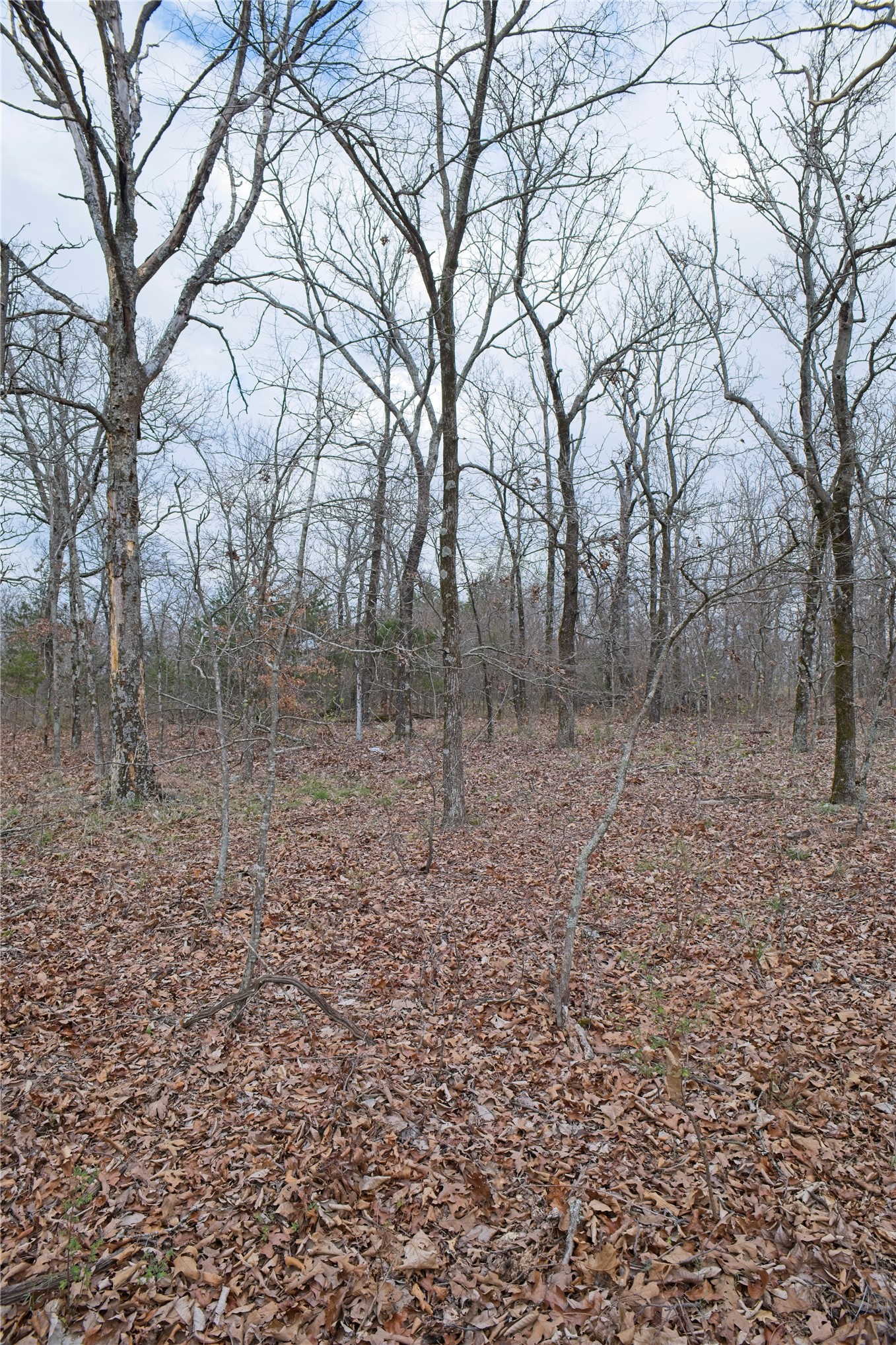 S 4547 Drive Vian OK 74962