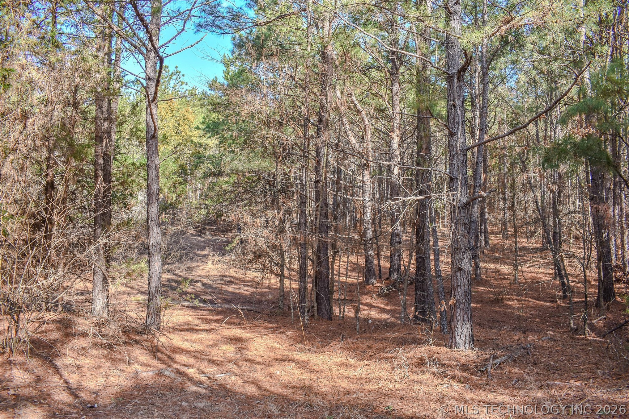 32 E 2030 Road Fort Towson OK 74735