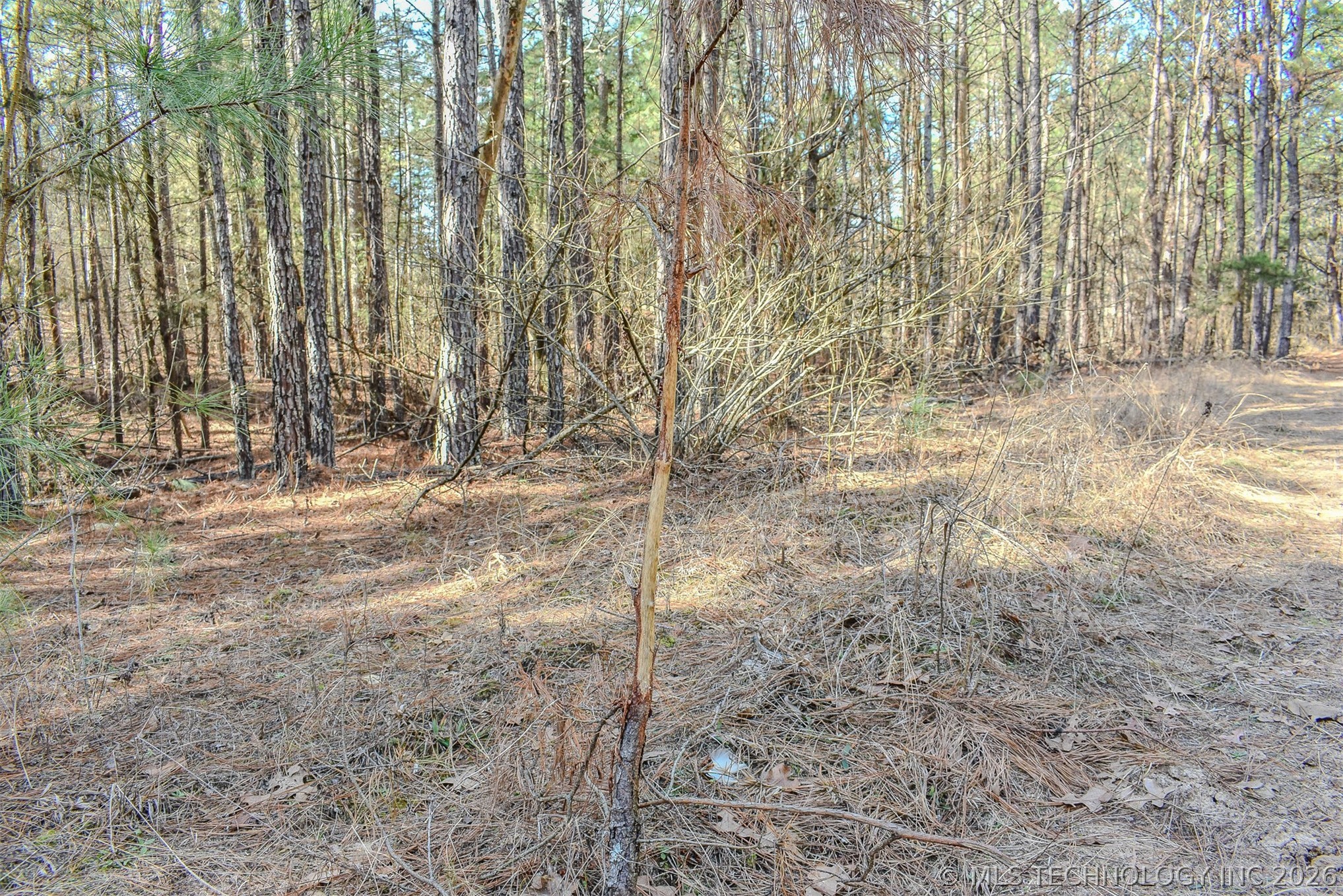 32 E 2030 Road Fort Towson OK 74735