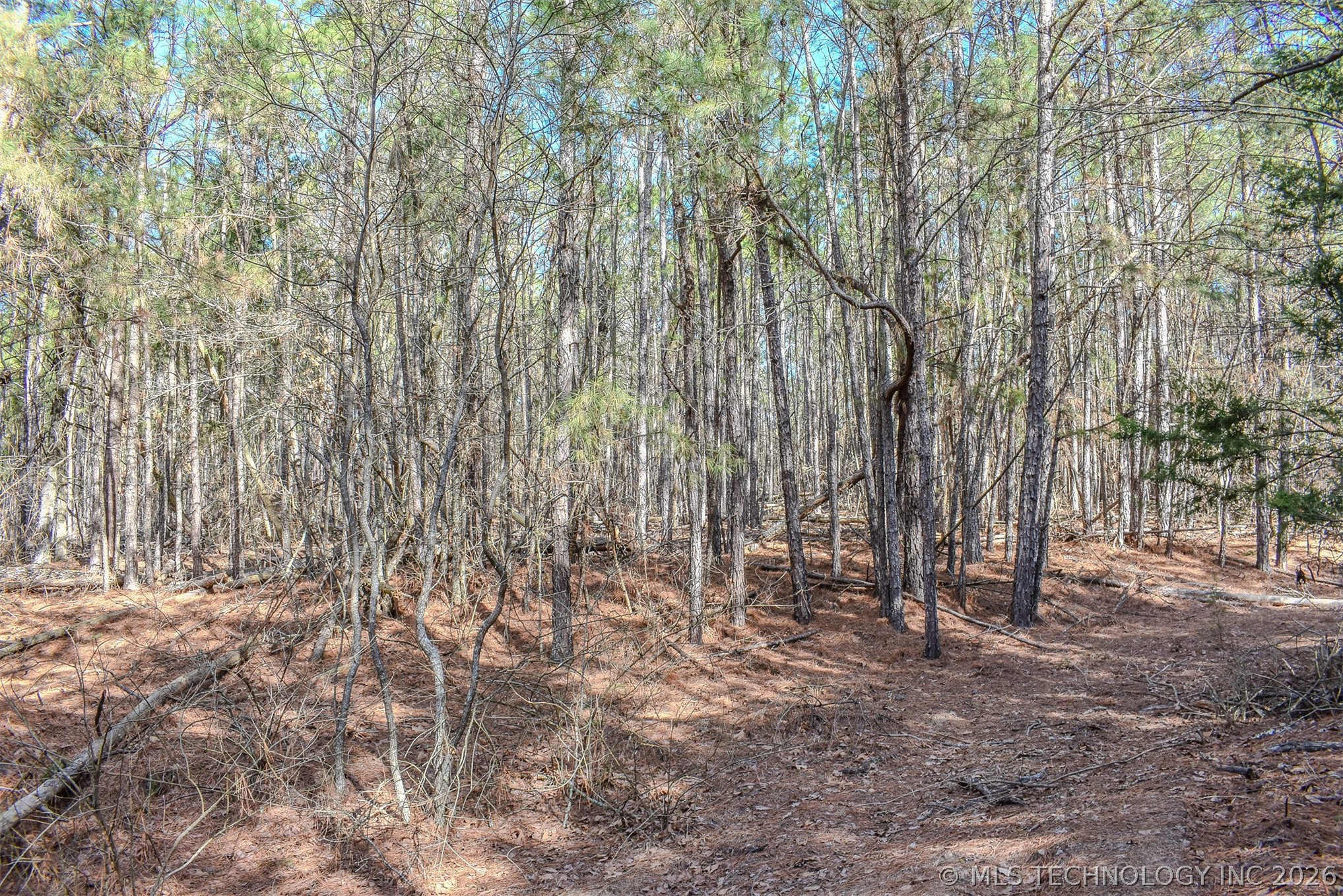 32 E 2030 Road Fort Towson OK 74735