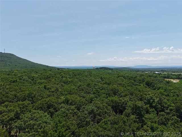 Morris Creek Heavener OK 74937