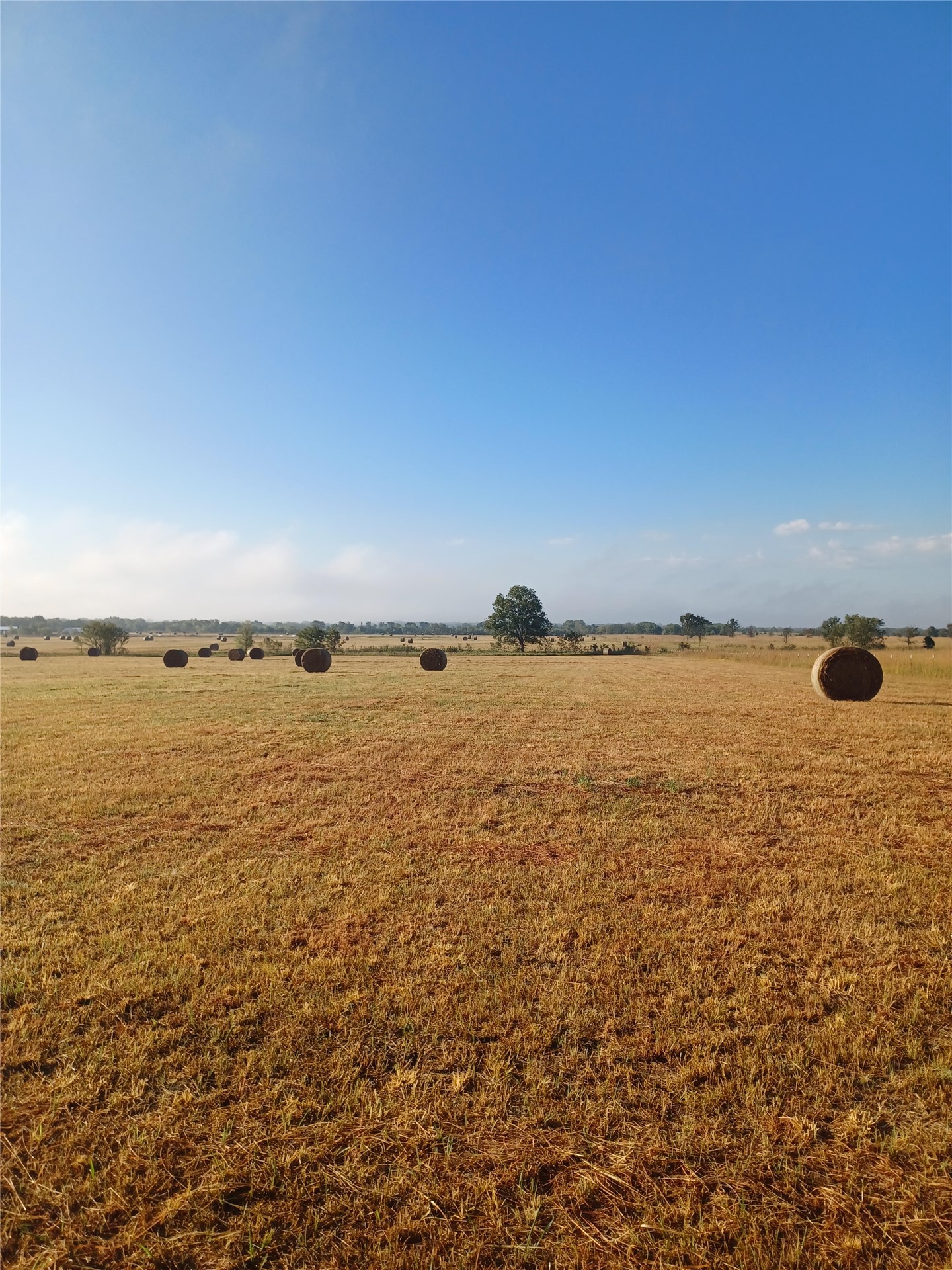 6183 Cypress Road Henryetta OK 74437