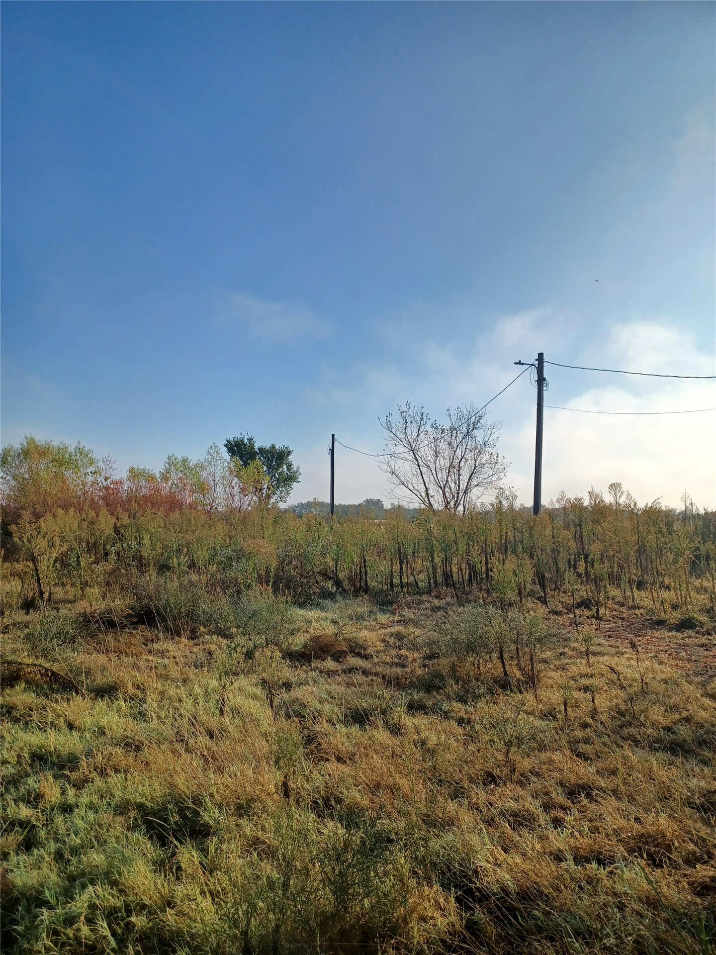 6183 Cypress Road Henryetta OK 74437