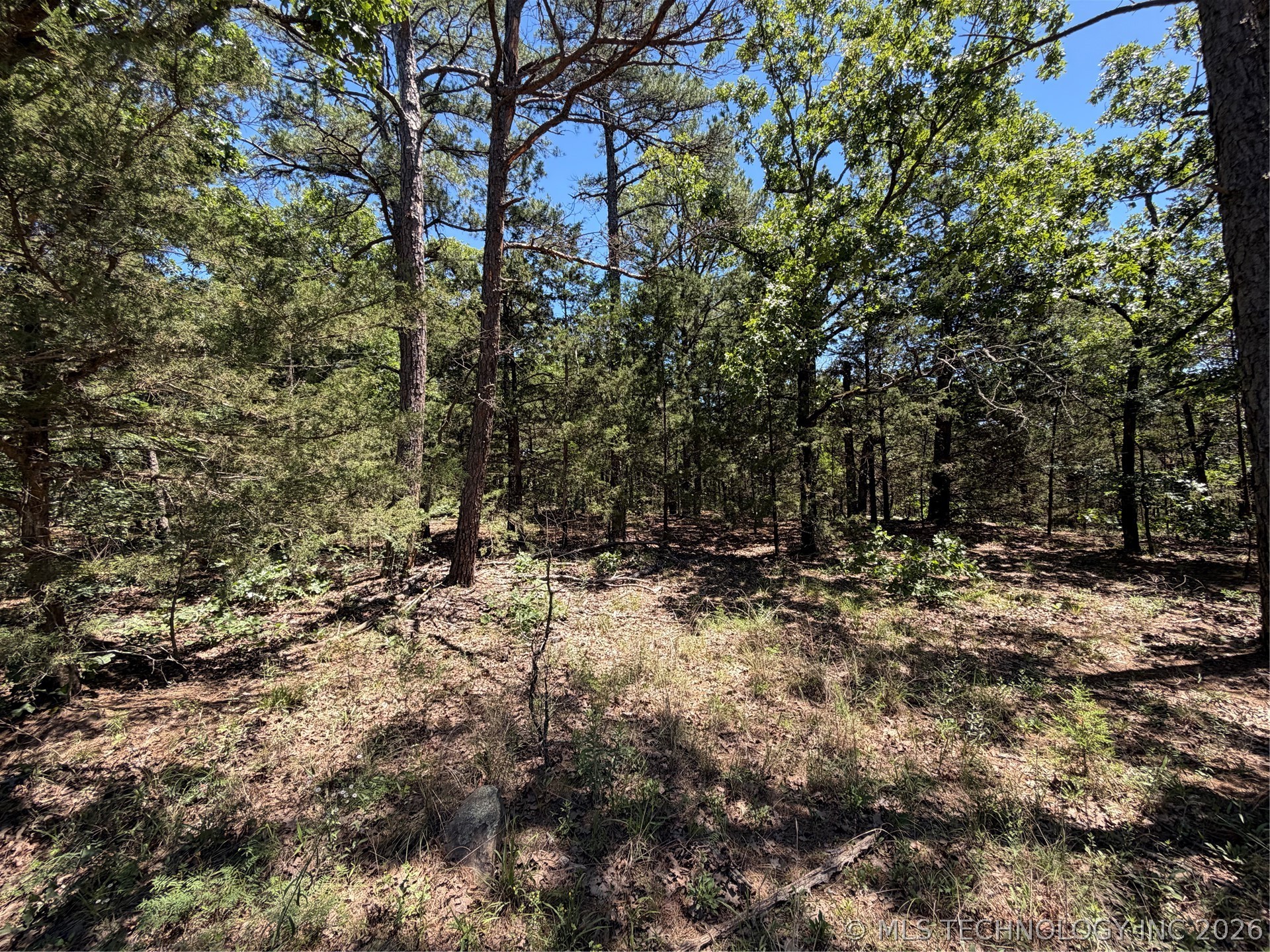 John's Valley Road Moyers OK 74557