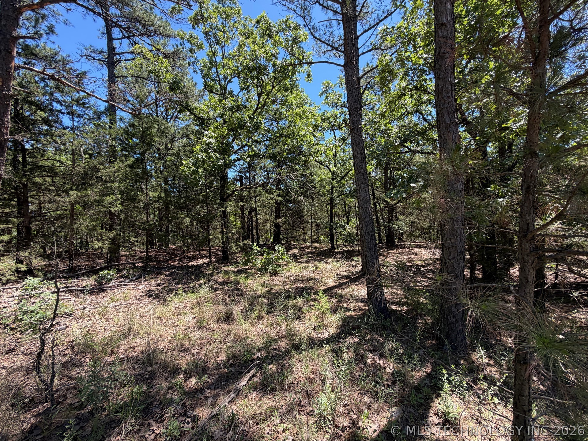 John's Valley Road Moyers OK 74557