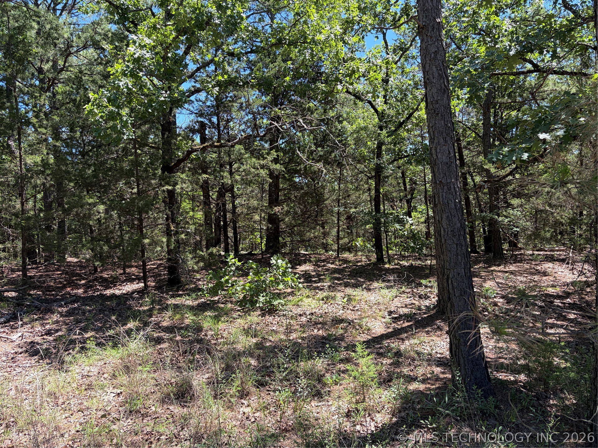 John's Valley Road Moyers OK 74557