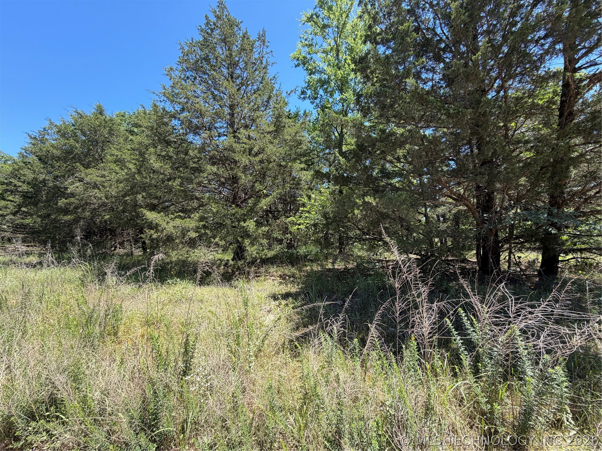 John's Valley Road Moyers OK 74557