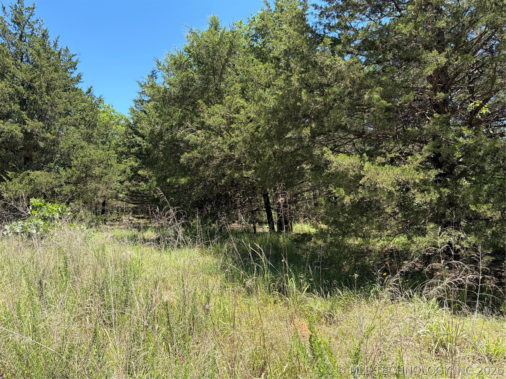 John's Valley Road Moyers OK 74557