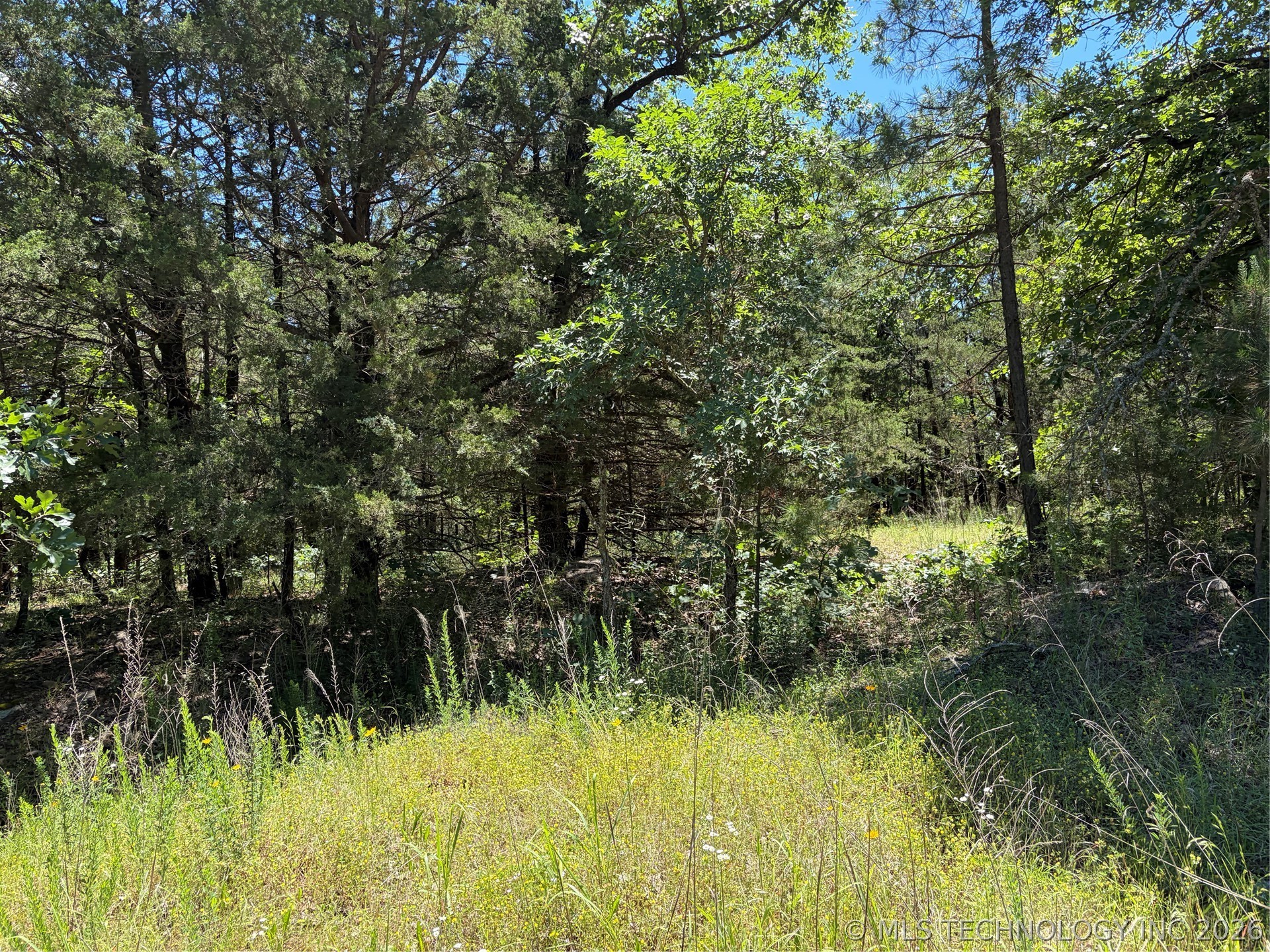 John's Valley Road Moyers OK 74557