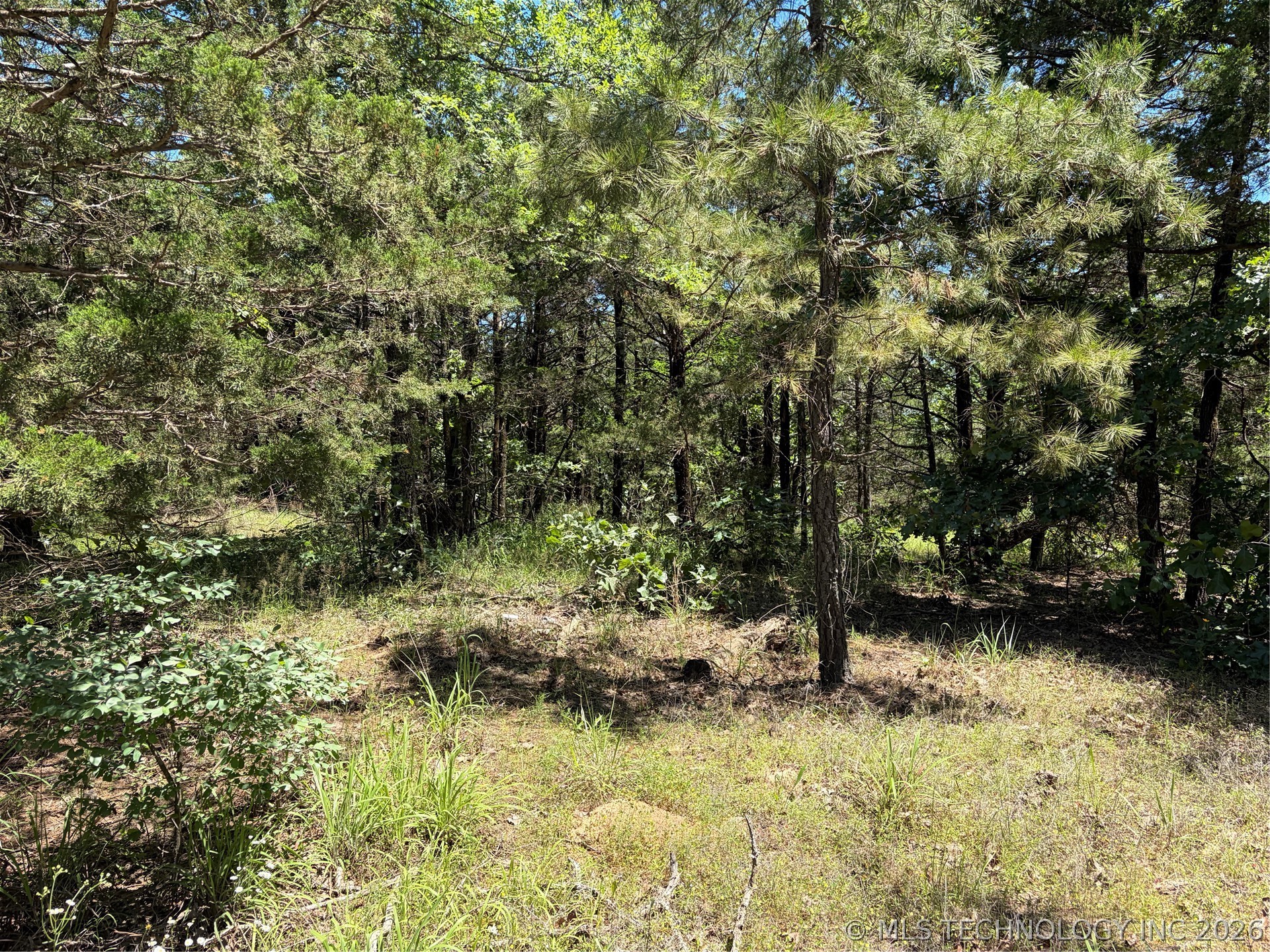 John's Valley Road Moyers OK 74557