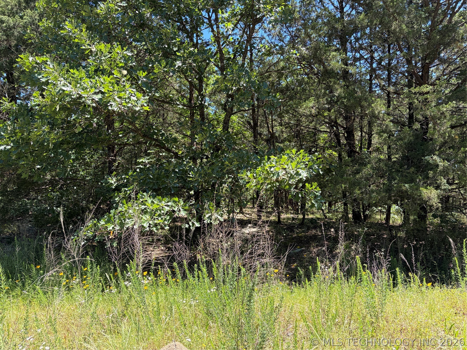John's Valley Road Moyers OK 74557