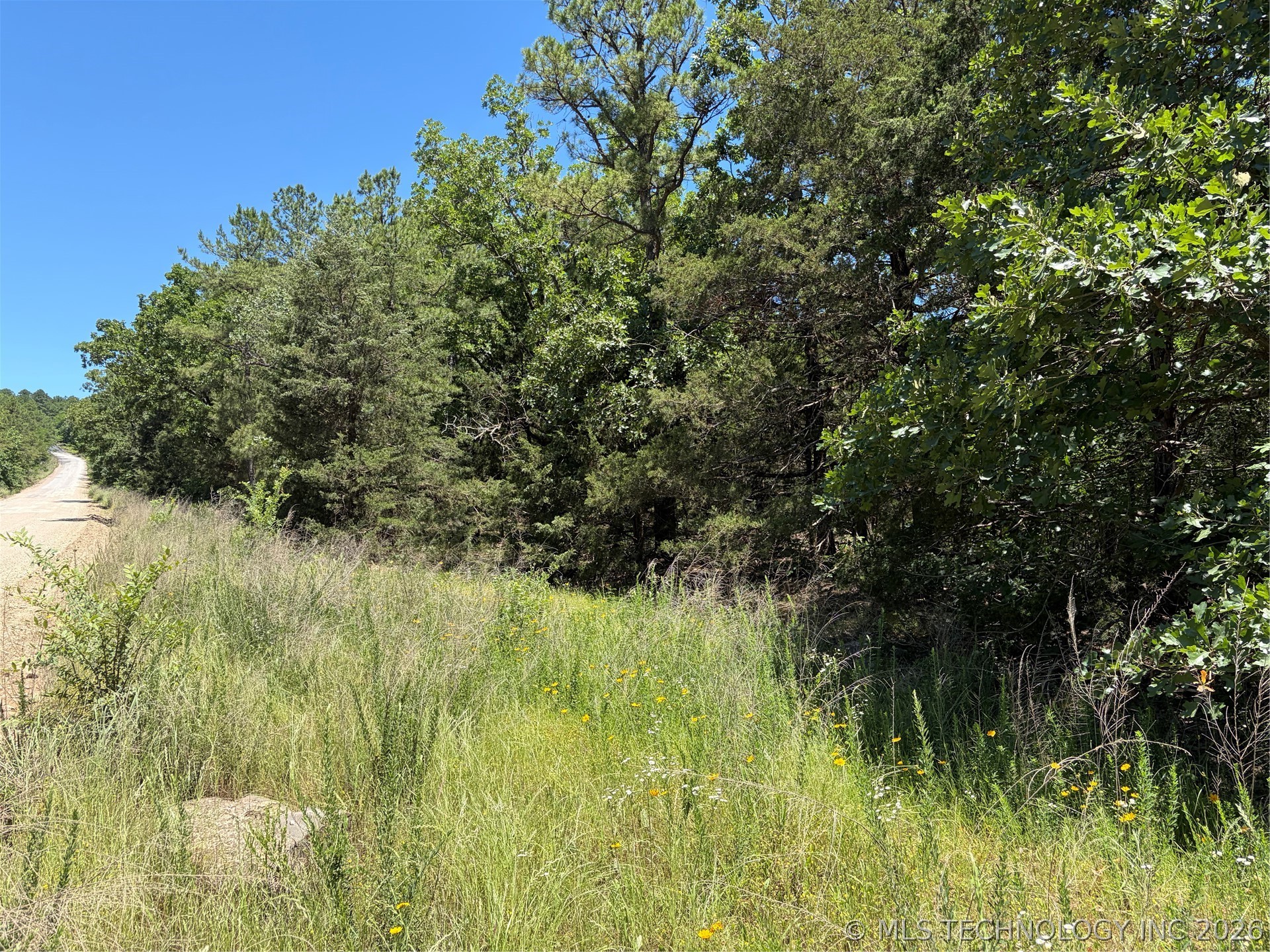 John's Valley Road Moyers OK 74557