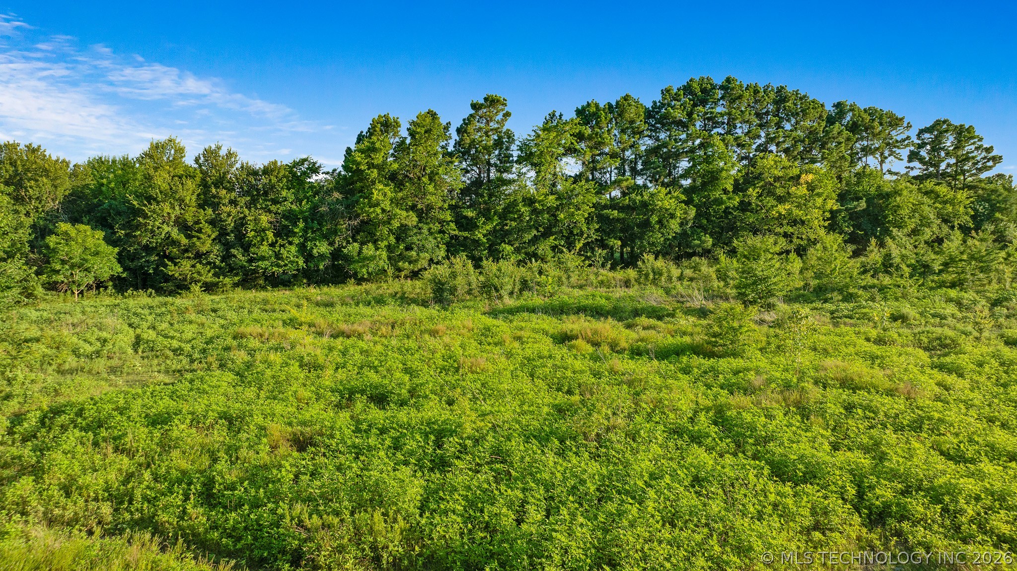 1093 N 4260 Road Hugo OK 74743