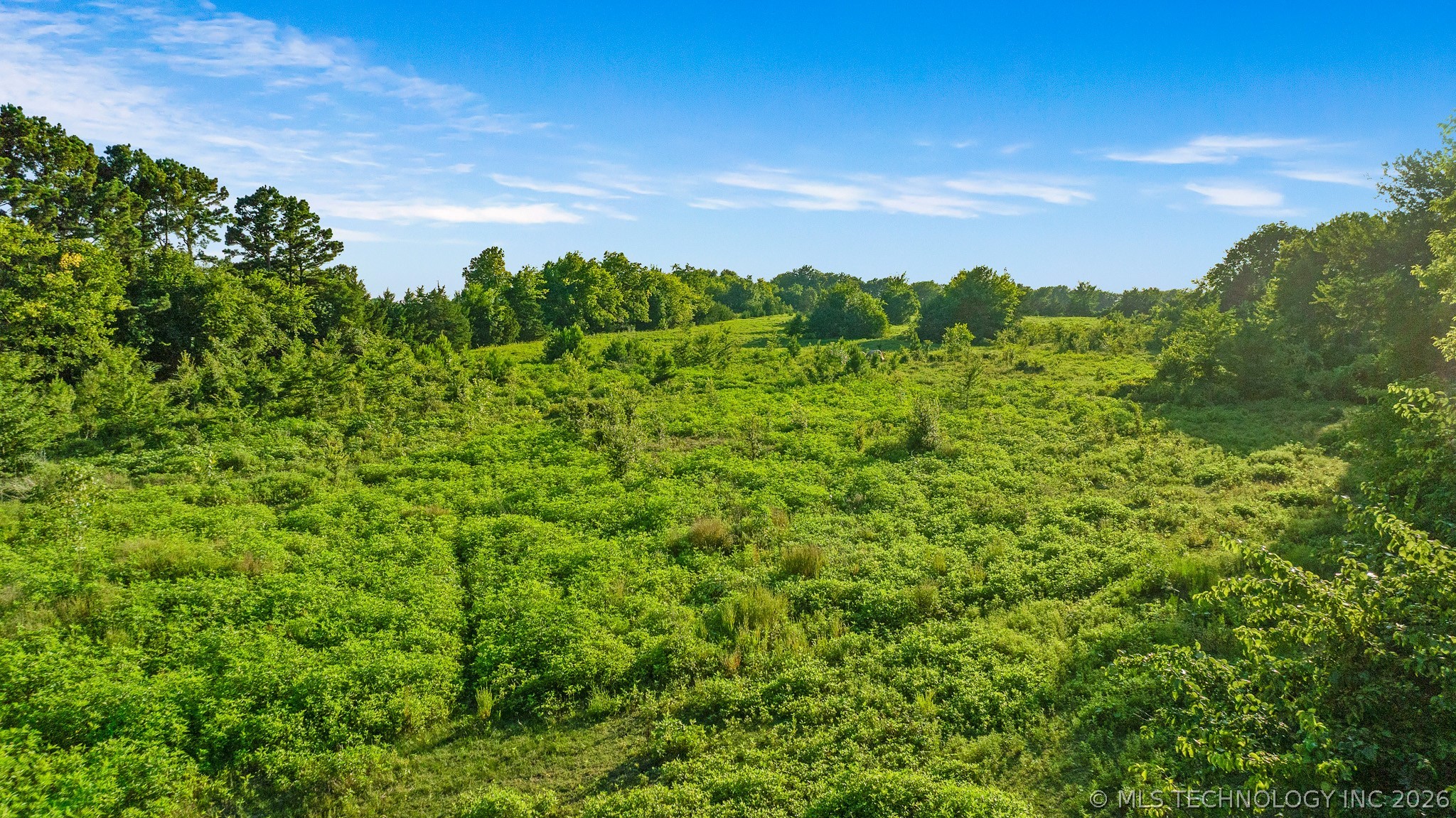 1093 N 4260 Road Hugo OK 74743