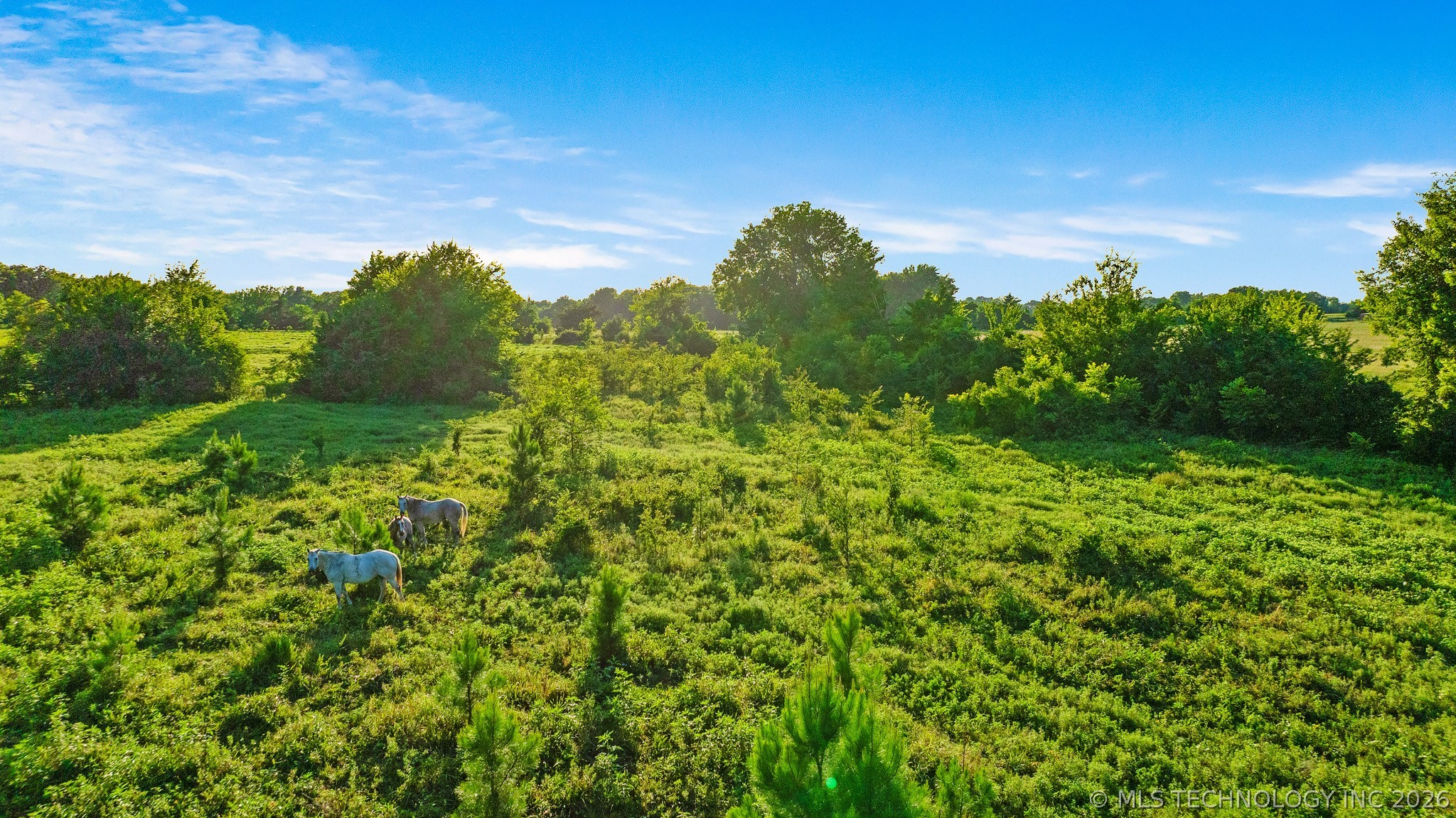 1093 N 4260 Road Hugo OK 74743