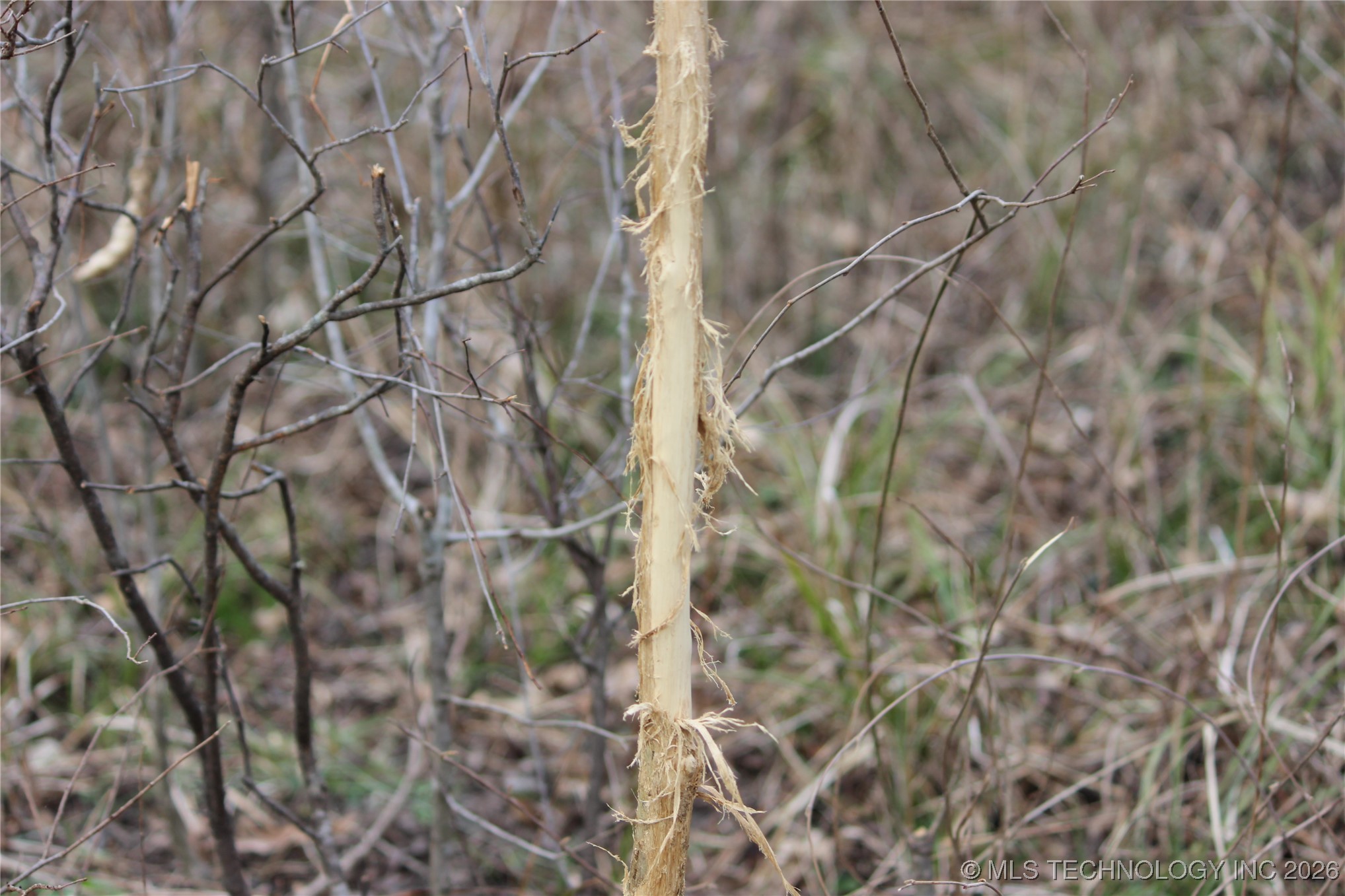 Okemah OK 74859