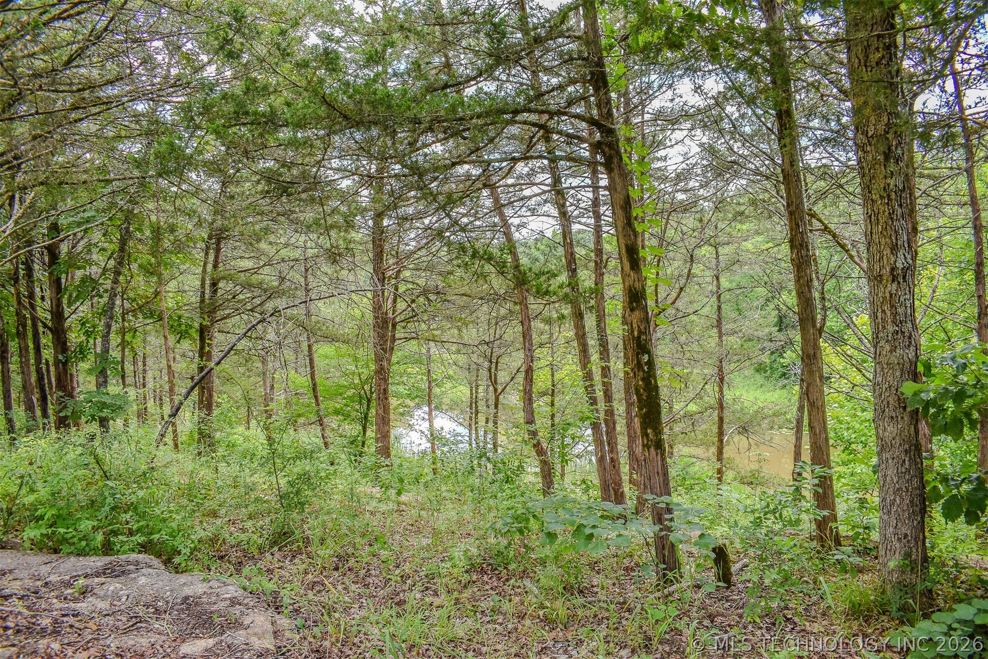 37 Ridge Point Road Fort Towson OK 74735
