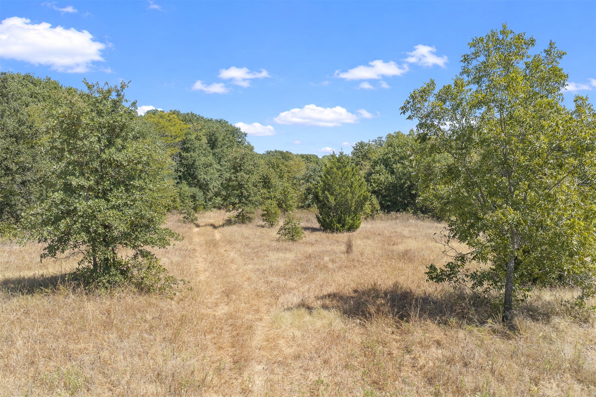 4490 Dillard Road Wilson OK 73463