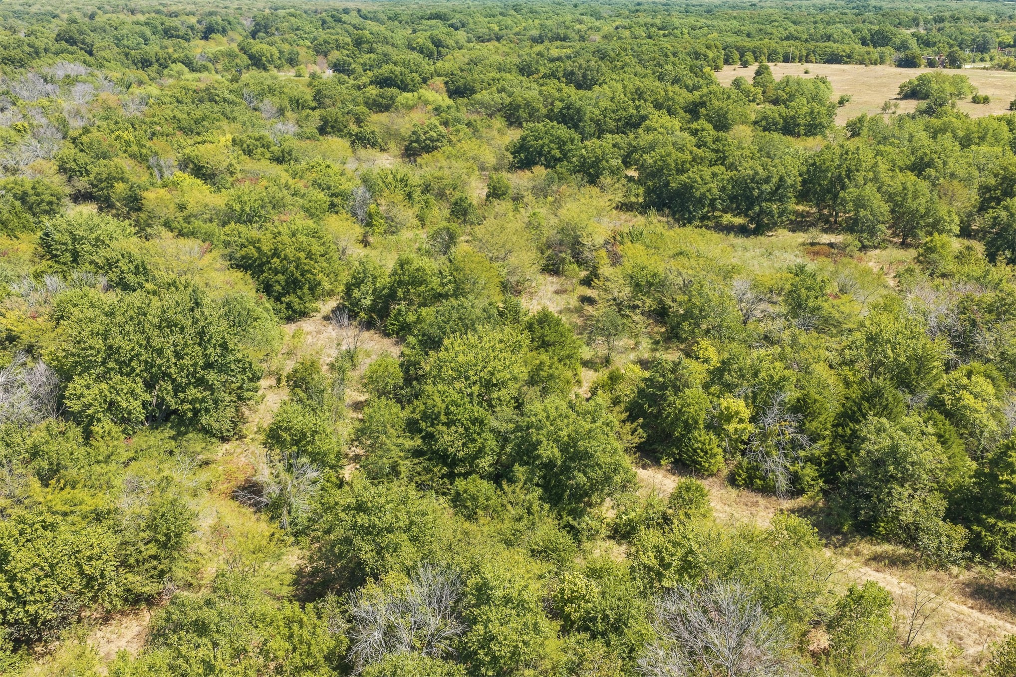 4490 Dillard Road Wilson OK 73463