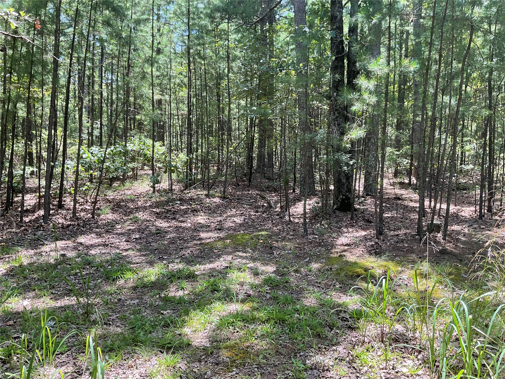 181201 Flat Top Road Moyers OK 74557