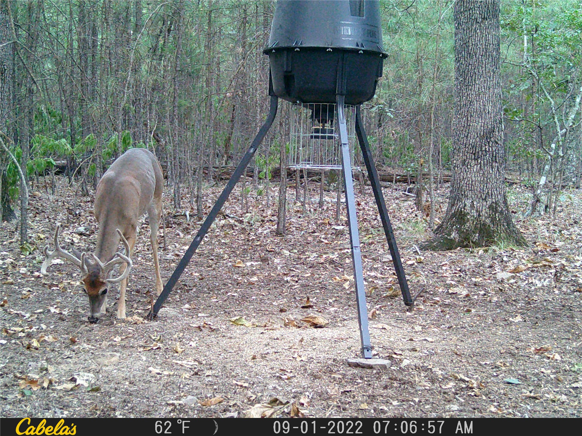 181201 Flat Top Road Moyers OK 74557