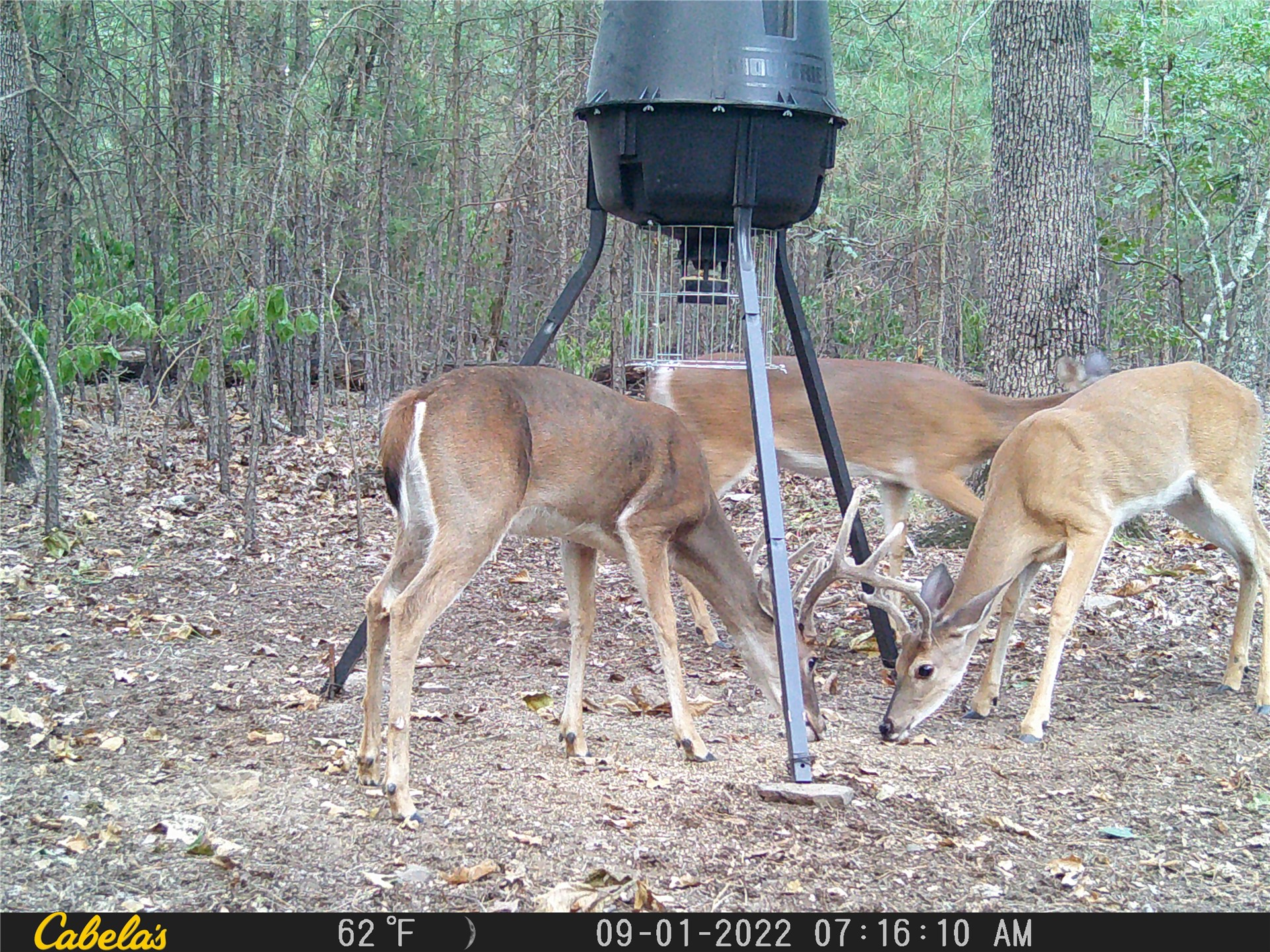 181201 Flat Top Road Moyers OK 74557