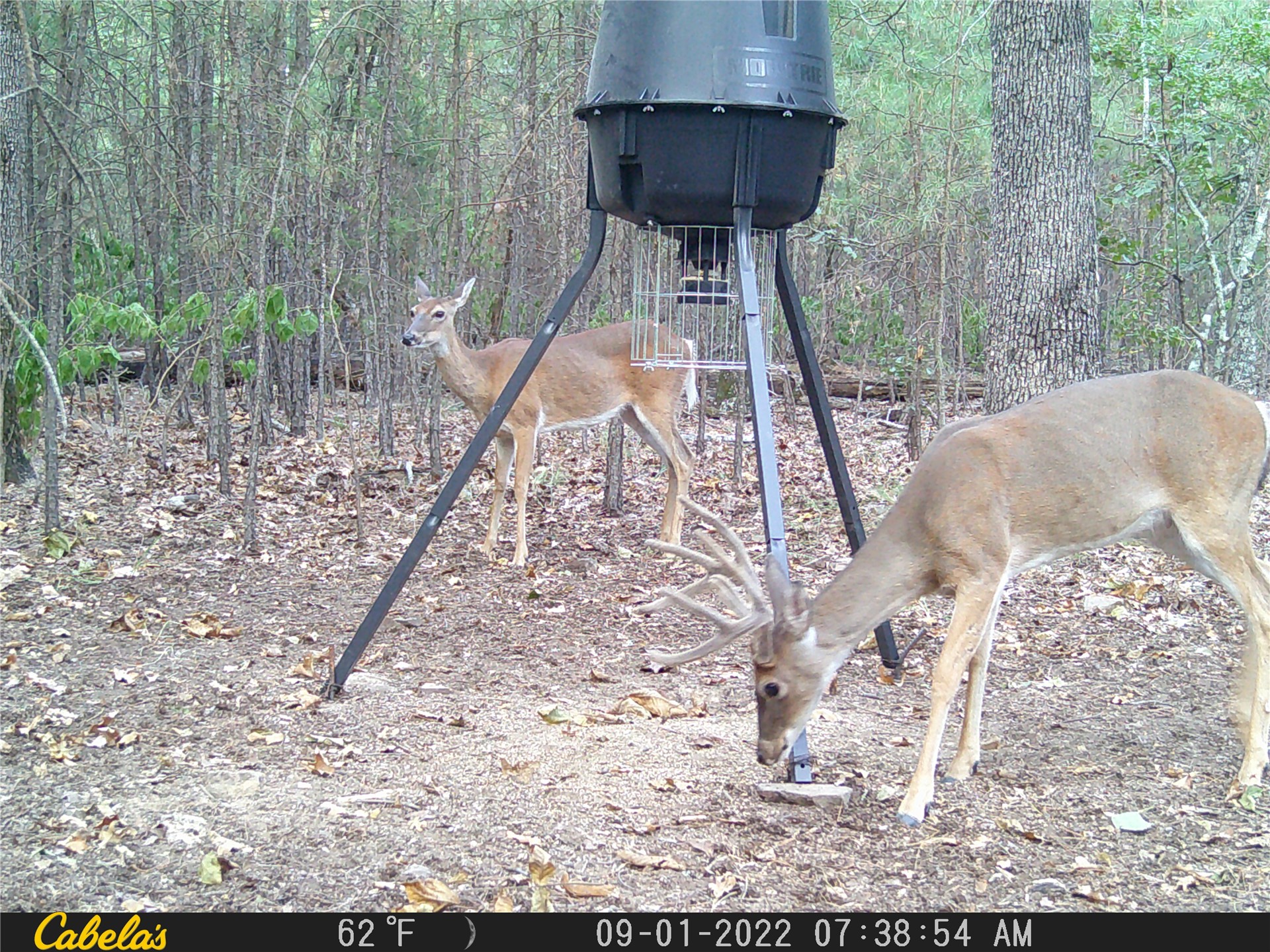 181201 Flat Top Road Moyers OK 74557
