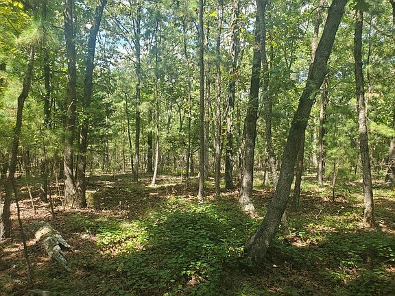 181201 Flat Top Road Moyers OK 74557
