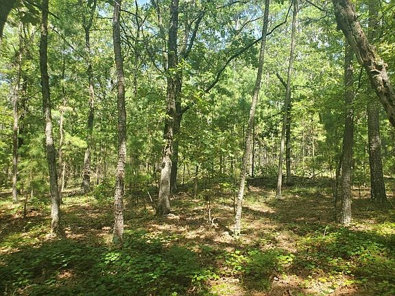 181201 Flat Top Road Moyers OK 74557