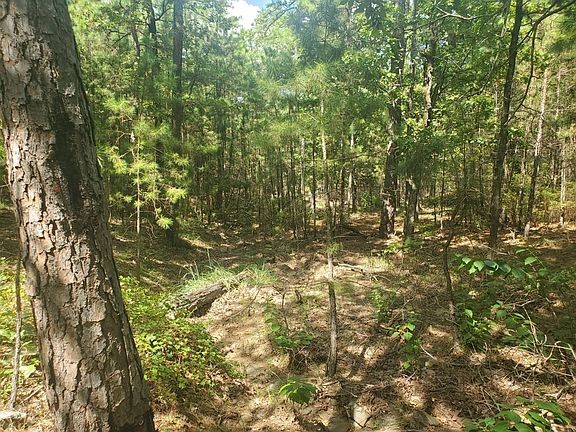 181201 Flat Top Road Moyers OK 74557