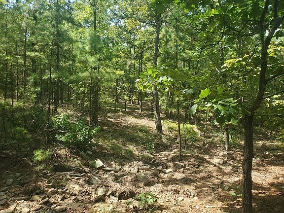 181201 Flat Top Road Moyers OK 74557