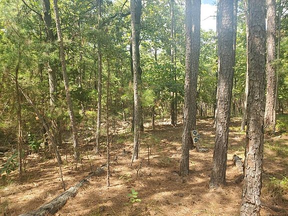 181201 Flat Top Road Moyers OK 74557