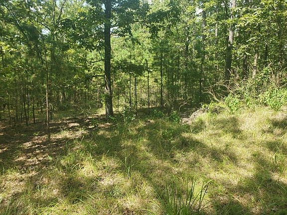 181201 Flat Top Road Moyers OK 74557