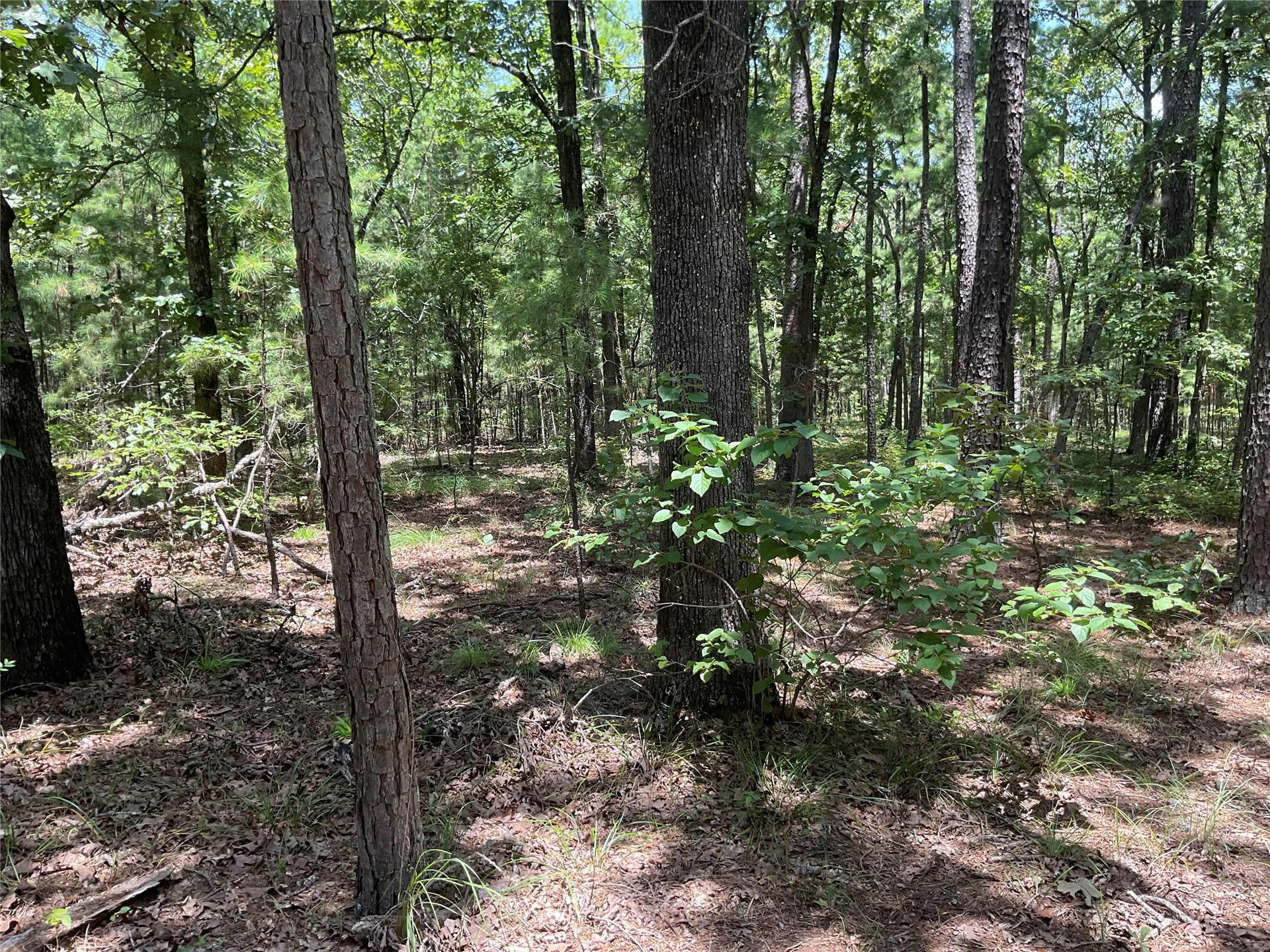 181201 Flat Top Road Moyers OK 74557