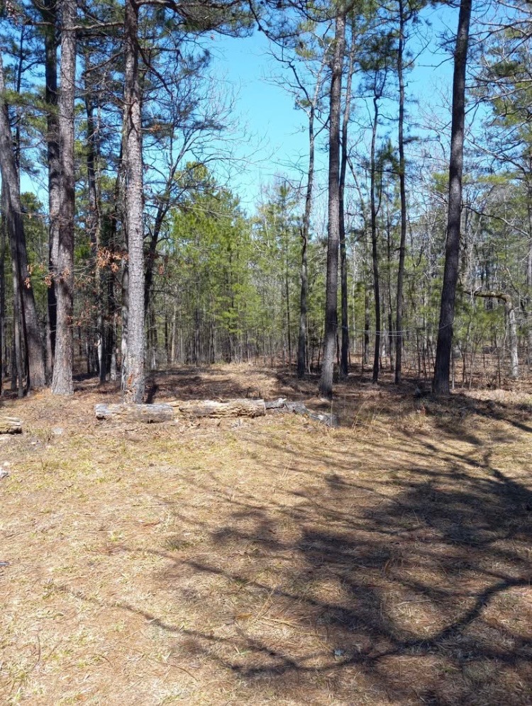 181201 Flat Top Road Moyers OK 74557