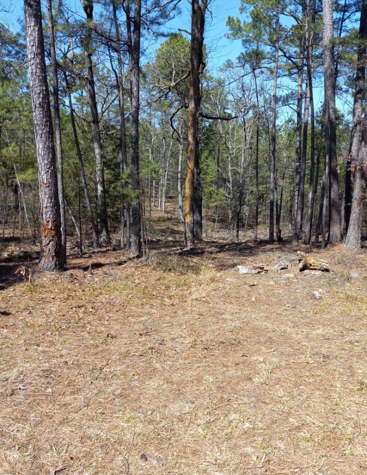 181201 Flat Top Road Moyers OK 74557
