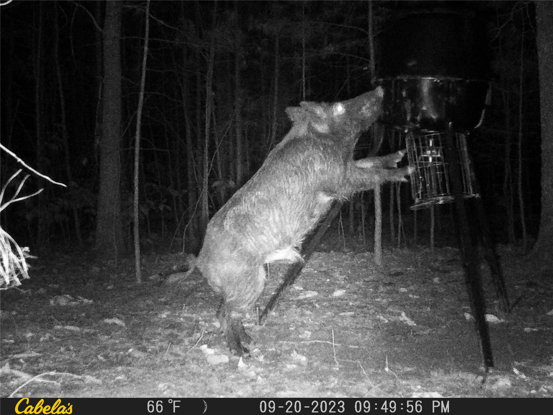 181201 Flat Top Road Moyers OK 74557