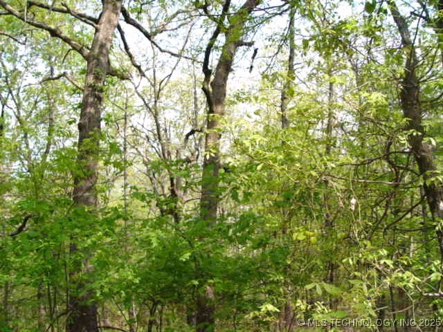 Kelsey Drive Park Hill OK 74451