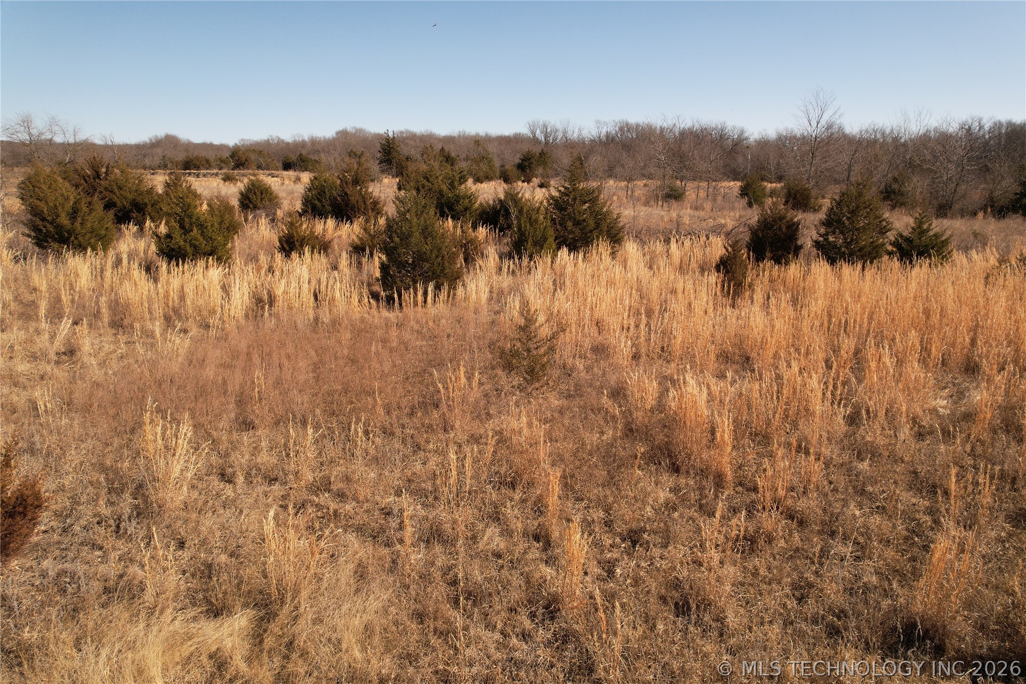 0001 County Road 3740 Allen OK 74825