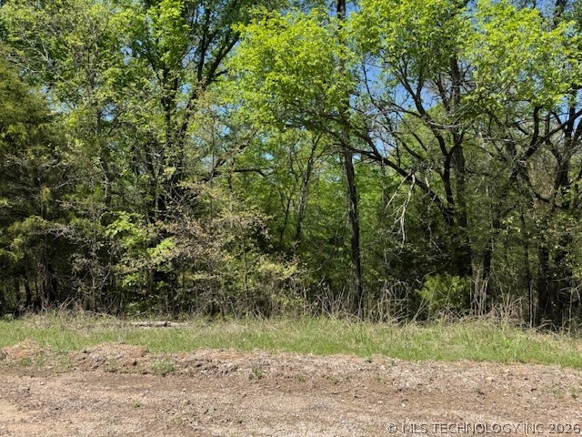 00 Carter Road Burneyville OK 73430