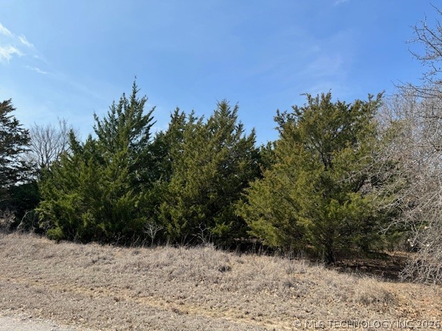 00 Carter Road Burneyville OK 73430