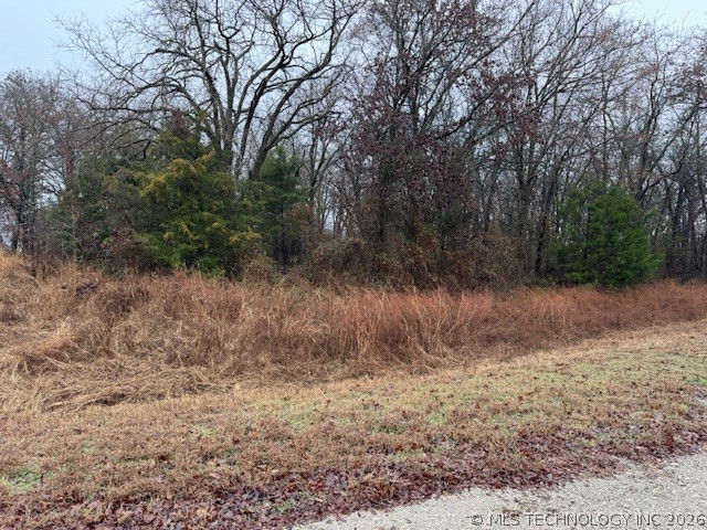 00 Carter Road Burneyville OK 73430
