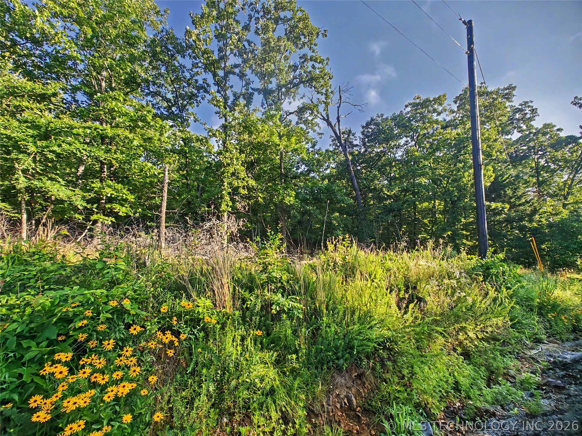 18600 W Bullet Mountain Road Park Hill OK 74451