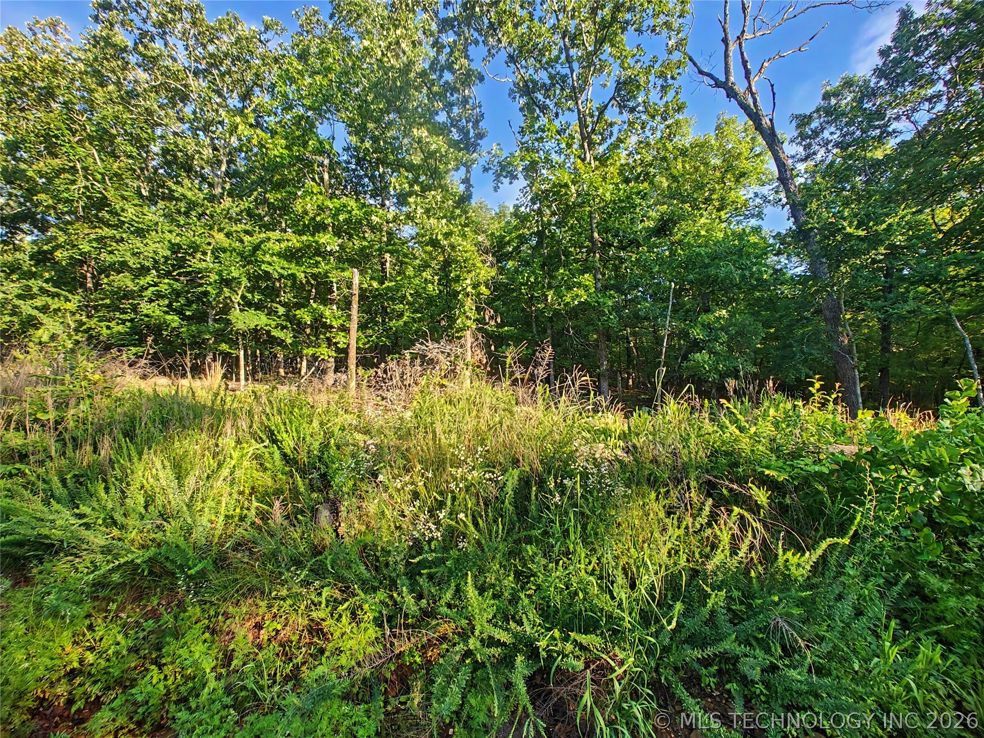 18600 W Bullet Mountain Road Park Hill OK 74451