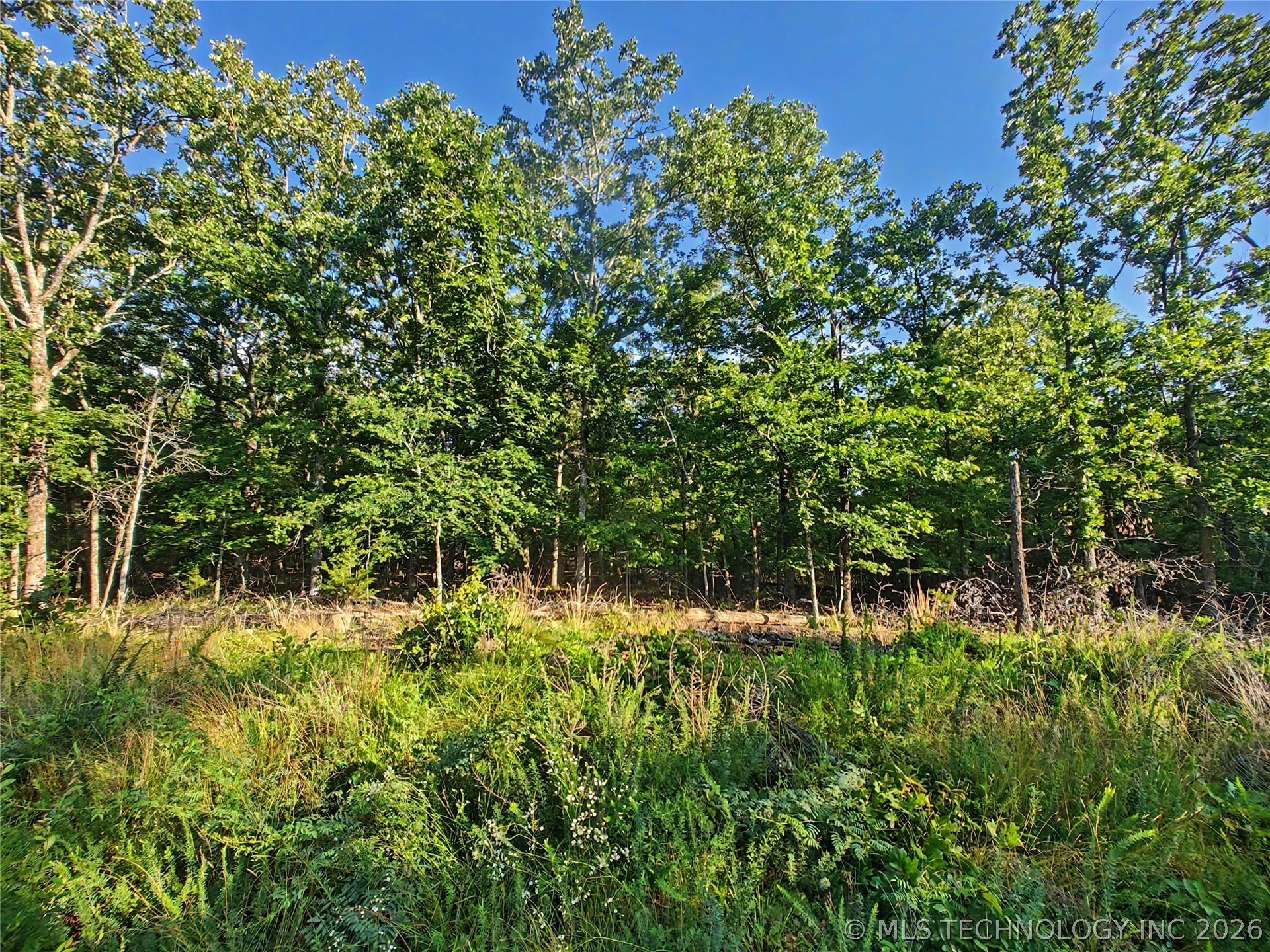 18600 W Bullet Mountain Road Park Hill OK 74451
