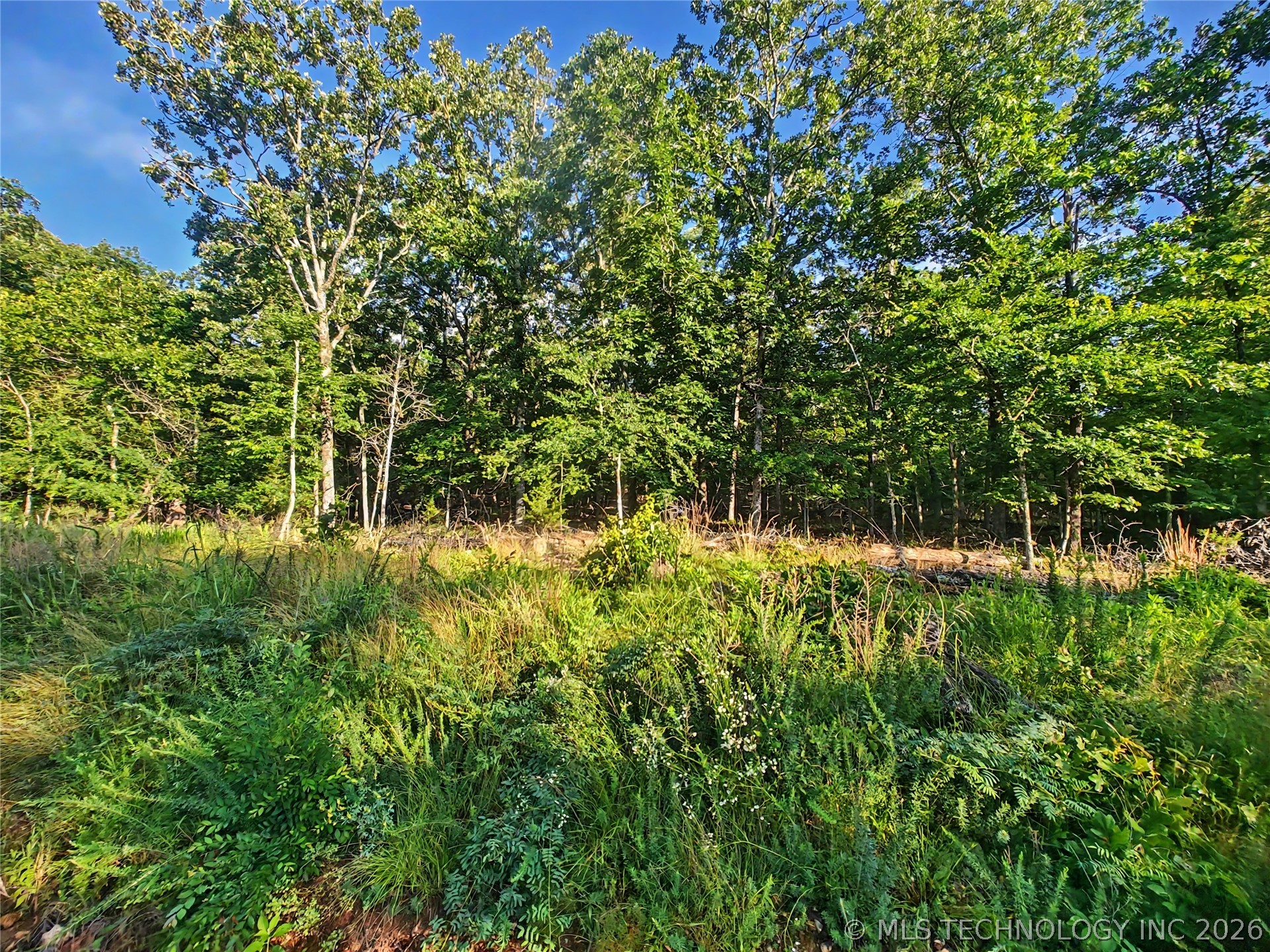 18600 W Bullet Mountain Road Park Hill OK 74451
