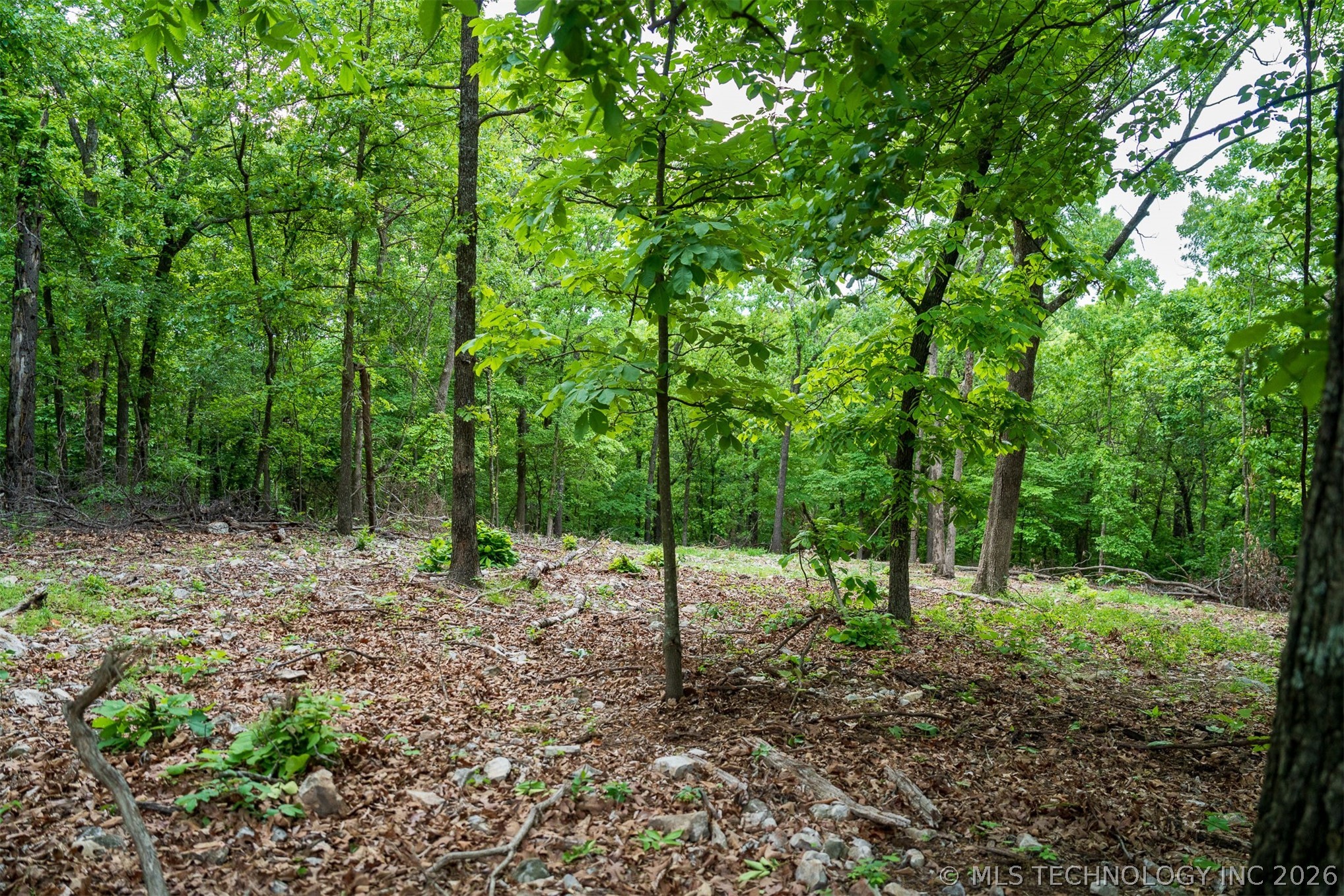 09 Skyline Drive Afton OK 74331